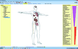 Auswertung  Global Diagnostic von Vitatec 