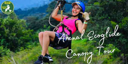 Best canopy tour for families with kids