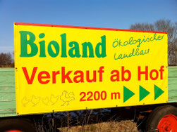 Wegweisen an der Kreuzung Grifte-Hertingshausen-Holzhausen-Guntershausen