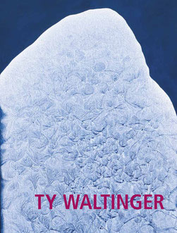 Ty Waltinger: Cryo-Paintings, Hydro-Paintings, Bilder, Katalog zur Ausstellung