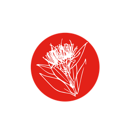 Illustration graphique d’un cercle rouge décoré de fleurs éclatantes de Rata, arbre endémique des forêts côtières et montagneuses de Nouvelle-Zélande.