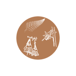 Illustration graphique d’un cercle marron composé de fleurs natives variées (Manuka, Kanuka, Rewarewa…), représentant la diversité florale du Miel de Forêt Tropicale de Nouvelle-Zélande.