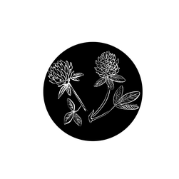 Illustration graphique d’un cercle noir orné de fleurs de Trèfle blanc, emblématiques des prairies néo-zélandaises où ce Miel est récolté.