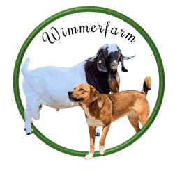 logo-burenziege-austrian-pinscher-oepi-zuechter