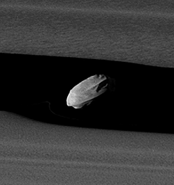 Detailreiche Aufnahme der Keeler-Lücke im A-Rings und dem Schäfermond Daphnis am 18. Januar 2017, aufgenommen von Cassini.