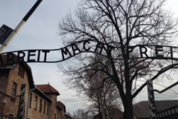  Ciudad Vieja de Cracovia y Auschwitz-Birkenau