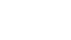 Pusteblumensamen in weiß