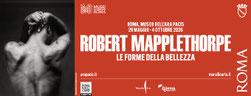 Robert Mapplethorpe, le forme della bellezza