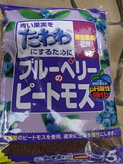 世界初の超コンパクトブルーベリー - 沼津農園