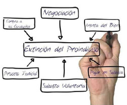 Proceso Judicial de División de la Cosa Común - Proindiviso