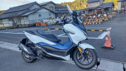 P-06　信楽では狸がお出迎え！