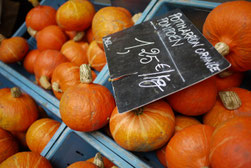 今が旬のカボチャ