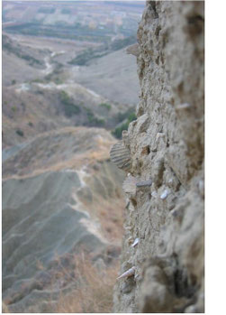 cea, calanchi, montalbano, basilicata, legambiente, fossili, terra vecchia, vegetazione, flora, fauna,petrolla