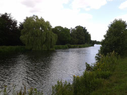 Christa Weßel (2023) Weide am Fluss im Sommer
