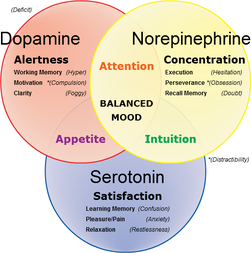 importance de la sérotonine et des médiateurs chimiques dans la prise de poids et l'équilibre psychique.