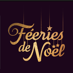 Bijoux Zam-création au marché de Noël de Narbonne décembre 2017
