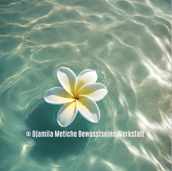 Portaltag 15.7.2026: