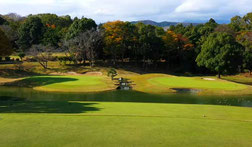平塚富士見CC平塚C (YOUTUBE) 12番PAR3