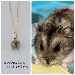 ジャンガリアンハムスターのハムレットちゃんの画像とペット遺骨ペンダント星のお守りK10ゴールドペンダントの画像