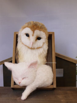 羊毛フェルト　メンフクロウ　猫　ふくろう　リアル