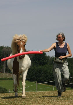 To create a good book on horsetraining, you need so many photos!