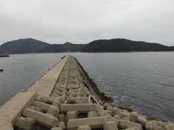 コウイカの釣り場　山口市・防府市