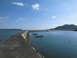 大海漁港　はこちらからどうぞ