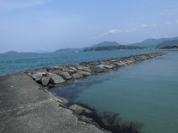 菊ヶ浜海水浴場　はこちらからどうぞ