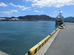 コウイカの釣り場　下関市