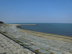 浜の宮海岸　はこちらからどうぞ