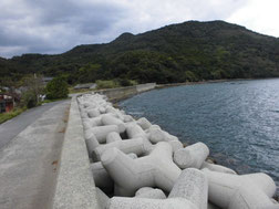 野波瀬　地蔵崎　はこちらからどうぞ