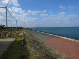 アオリイカの釣り場　北九州市・小倉北区・戸畑区・若松区