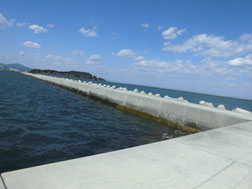 コウイカの釣り場　苅田町・行橋市