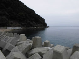 アオリイカ　の釣り場　山口市・防府市