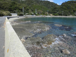 青海島　道路沿い　はこちらからどうぞ