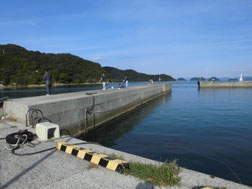 コウイカの釣り場　長門市