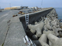 豊前市・吉富町の釣り場　はこちらからどうぞ