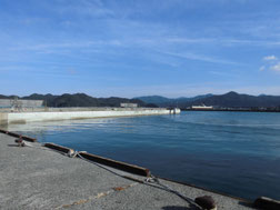 長門市の釣り場　はこちらからどうぞ