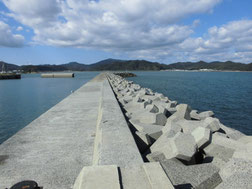 コウイカの釣り場　北九州市　門司区・小倉南区