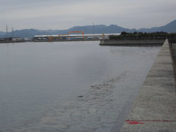 向島運動公園　はこちらからどうぞ