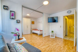 Apartment / Ferienwohnung Adina Bondorf