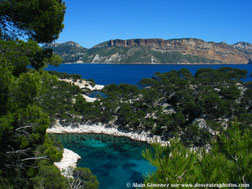 Marseille,Cassis,calanques,mer,méditerrannée,rivages,falaises,arbres,eaux turquoises