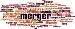 M&A: PMI - Post Merger Integration in Europa