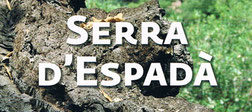 La sierra de Espadán se ubica entre las cuencas de los ríos Mijares y Palancia, abarcando un conjunto de cuarenta municipios de la provincia de Castellón.