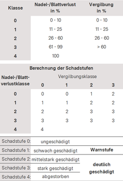 Klassifikation der Schadstufen (aus "Waldzustandsbericht 2023 Baden-Württemberg)