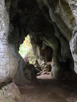 Ruakuri Caves