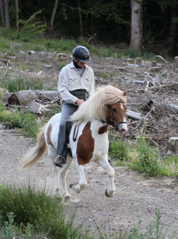 Sigrid reitet ihr Pferd Helgi im lockeren Galopp einen Waldweg hinauf