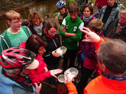 Maitour 2015