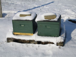 Zwei Bienenkästen stehen im Schnee. Für die Weihnachtsmärkte 2014 erhoffen wir uns eben so viel Schnee. Die Bienen haben dieses Jahr viel Honig produziert. Die Imkerei Ökohof Fläming wird diesen entsprechend auch zu Weihnachten verkaufen.