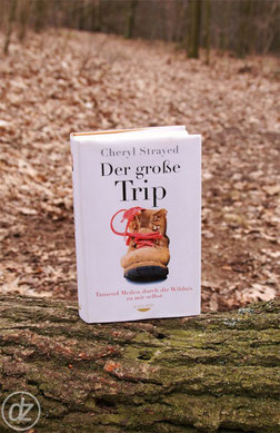 Buch: Der große Trip | Foto: Detlef Zabel